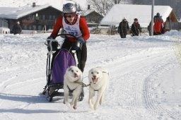 Lenk 2012 SM